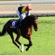 JRA ノーザンファーム「14年ぶり」屈辱からの大逆襲! 絶対王者の底力を見せつけた快進撃…… コントレイル、デアリングタクトに降りかかる脅威