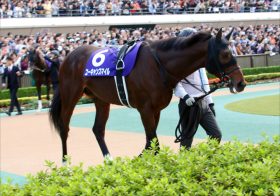 JRA天皇賞・春（G1）ユーキャンスマイルに「勝負気配」!?　東西有力馬の情報をお蔵出し!!