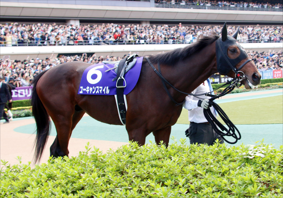 【天皇賞・春(G1)展望】武豊キセキVSフィエールマン注目の対決! 阪神大賞典(G2)勝ちユーキャンスマイルも勢い十分の画像4