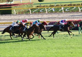 JRAエピファネイア時代「幕開け」でロードカナロア陥落!? ディープインパクトに続く「有力候補」リーディングサイアーになれる理由とは