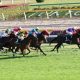JRA「徹頭徹尾」日本人騎手を軽視!? R.ムーアに“外国人信者”の調教師が早くもご機嫌伺い?
