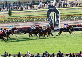 JRA史上「9回目」東京新聞杯（G3）「サトノ軍団」3頭出しは買い!? 「68万馬券」も飛び出した過去の傾向から狙うべきはワンツーよりも……