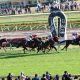 JRA牝馬出世レースに素質馬&有力馬が集結! 12冠ベビー・アカイトリノムスメ、「怪物復権」リフレイムらが虎視眈々