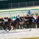 JRA【きさらぎ賞(G3)展望】武豊ヨーホーレイクと「大逸走」ランドオブリバティが激突!デビュー前はダノンザキッドに“圧勝”ダノンジェネラルは試金石の一戦
