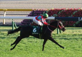 JRA皐月賞コントレイル「鬼門」1枠1番に「福永が不安」の声!? ビッグアーサー『前が壁』“伝説”の払拭チャンス到来も……