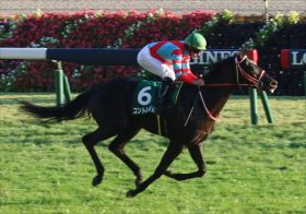 元JRA安藤勝己氏「同世代の牡馬では力が違う」コントレイルの無敗三冠へ太鼓判！ 神戸新聞杯（G2）「包囲網」も福永祐一“神騎乗”で一蹴！