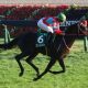 元JRA安藤勝己氏「一枚上だった」ウオッカでさえ越えられなかった07年秋華賞(G1)ダイワスカーレットの壁……デアリングタクトは「1強」を再現できるか