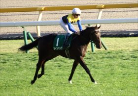 JRAホープフルS（G1）アパパネ最高傑作「最高の舞台」？ ラインベックが超良血を証明か