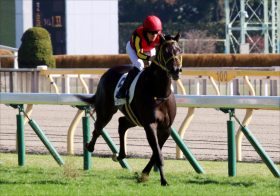 JRAシンザン記念（G3）「ケタ違い」ルーツドールは、すでに三冠候補!? アーモンドアイ、ジェンティルドンナ……受け継がれる歴史的名牝の登竜門