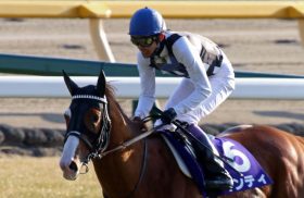 JRAチャンピオンズC（G1）は絶好調・武豊から「少点数」勝負！ 先週「完全的中」の「有力ネタ」で挑む!!