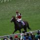 武豊「JRA・G1完全制覇」朝日杯FSに有力馬騎乗!ルメールの心強い発言も?