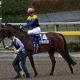 元JRAアンカツ「正直、つまらん」ノーザンファーム「使い分け」に苦言……日本馬海外大活躍も「昔」とは異なる事情