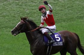 【JRA外国人騎手馬券術】スミヨンとマーフィーで買える条件！ムーアで1円も買えない条件とは？