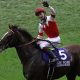 JRA・R.ムーア騎手「不振深刻」で見納めか……エージェント変更も空振り、モーリスなど堀厩舎との名コンビも未勝利で