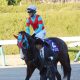 JRA迷走サリオス「激変」に3つの伏線!? D.レーン「ベストの競馬が出来た」…連敗続きの実力馬はなぜ復活したのか