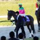 【アーリントンC(G3)展望】JRA騎手の移動制限に要注意!! 朝日杯FS(G1)2着のタイセイビジョンに、ギルデッドミラー、プリンスリターンらが挑む