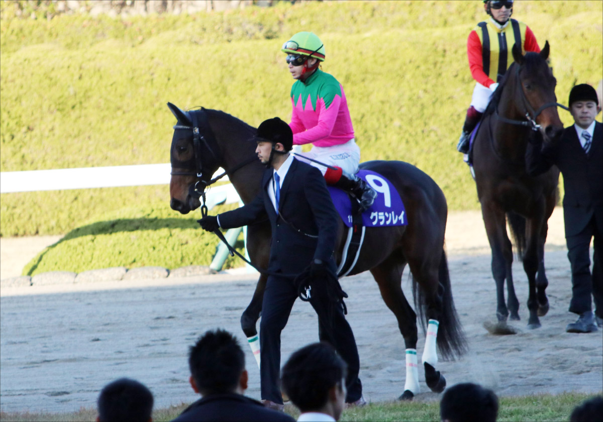 JRA「G1上り最速馬」グランレイ！ きさらぎ賞（G3）京都の馬場も味方する!?の画像1