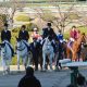 JRA有馬記念で帯封ゲットへ! 阪神JF(G1)「3強不要」本命を託したのはソダシと実力“五分”の超大穴!