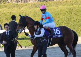 JRA【富士S（G2）展望】有望3歳馬が大挙登場！ NHKマイルC（G1）覇者ラウダシオンは“フロック”の声をはねのけられるか!?