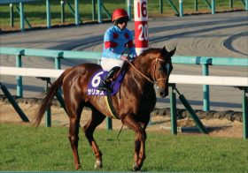 JRA・D.レーン騎手「すでに日本入り」!? 皐月賞（G1）サリオス騎乗で、2度目の“レーン旋風”確定か？