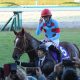JRAサリオス天皇賞・秋(G1)“自重”は正解? 「ダートではもっとすごい」3歳トップマイラーが歩んだ8年前の「迷走」……
