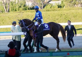 JRA NHKマイルC（G1）「6億円」アドマイヤビルゴの「1/30」以下！ “格安”タイセイビジョン「世代屈指の末脚」でオーナー孝行なるか!?