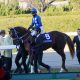 JRA宝塚記念(G1)和田竜二「バテても止まってもいません」絶好チャンス逃がすも悔いなし…ディープボンドに「足りなかった」もの
