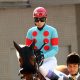 JRA砂のディープインパクト!? 師走S(L)ダート戦で決めた殿一気に大興奮! 厩舎の勢いに乗りフリオーソ最高傑作誕生か