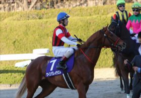 JRA NHKマイルC（G1）へ“因縁”残る!? NZT（G2）3着ウイングレイテスト調教師「タラレバ言いたくなる」横山武「4コーナーの不利が……」