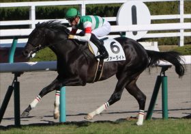 JRAクリソベリル敗れるも、新たな「砂の伝説」始動――。築き上げた「名繁殖」の地位「1億2000万円」に込められたクラシック制覇の夢