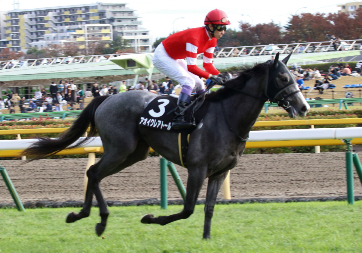 JRAスプリングS（G2）三連単「2点」で仕留める！ 強力「現場情報」で堅軸発見！ の画像2