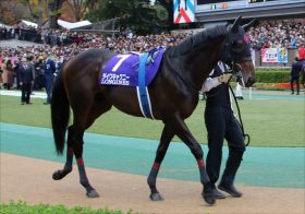 JRA「ダイワ消滅」を惜しむ声が続出！ ダイワスカーレット、ダイワメジャーなど時代を彩った名馬を輩出…ダイワキャグニーの引退で終幕