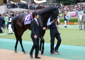 JRA京都記念（G2）ダンビュライト去勢明け「凡走続き」も、今回は違う!? カギは奇跡の好走「現役・大先輩」に驚きのデータ