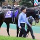JRAまるでハンデキャッパーの嫌がらせ!? 誤算続き「幻のG1馬」にのしかかる過酷な現実…… シルクロードS(G3)除外対象で踏んだり蹴ったり