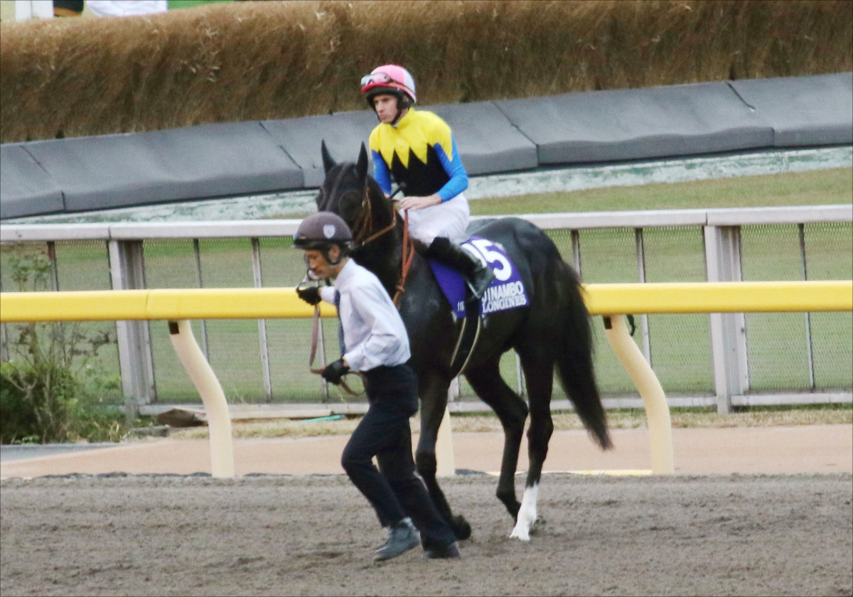 JRA新潟記念(G3)3連単4点で射抜く!! 東西関係者オフレコ情報で導き出された注目穴馬は?の画像2