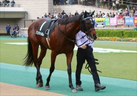 【サウジC（G1）展望】ジュンライトボルト、クラウンプライドら精鋭6頭が1着賞金「13億円超」ゲットに挑戦！