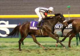 JRAカレンブーケドール「ドバイ遠征」で津村→ルメール!? 誕生日・津村騎手「常にG1に乗っていたい」誓いも……