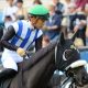 「省エネ」川田将雅が横山武史を圧倒した驚愕の事実