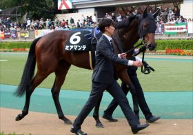 JRAフラワーC（G3）「早熟血統？」2戦2勝ミアマンテに立ちはだかる「3勝目の壁」