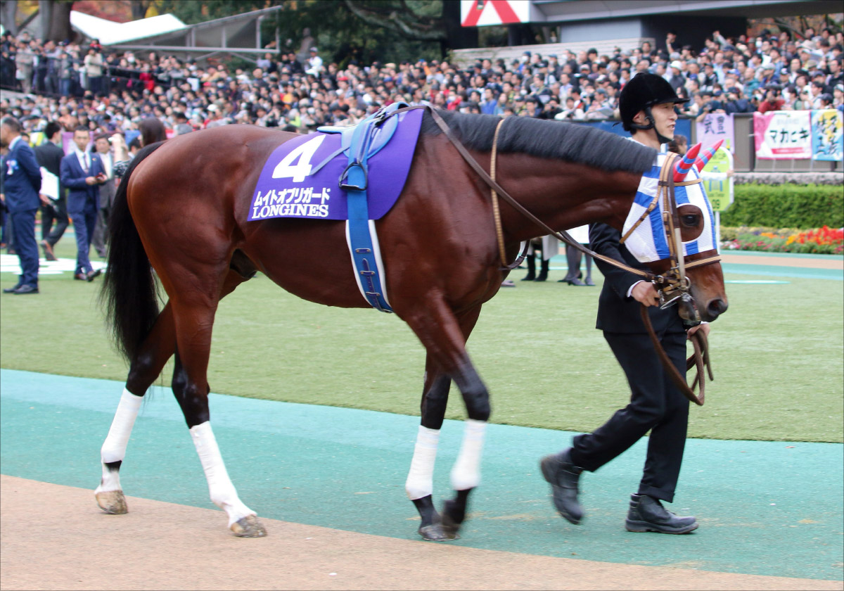 【阪神大賞典（G2）展望】「G1馬は1頭のみ」春の天皇賞に向け、絶対に負けられないキセキ! 宝塚記念以来となる川田と再コンビ結成の画像4