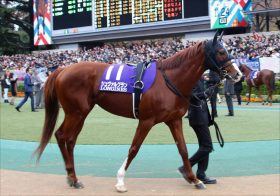 JRA有馬記念（G1）「今度こそ引退」シュヴァルグランが福永祐一と最後の雄姿!? 凡走続くも状態は……