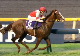 JRA有馬記念（G1）最終追い切り「モヤを切り裂く」アーモンドアイ圧巻！ 予定通り「状態上昇」はアイツ