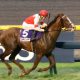 JRA有馬記念枠順抽選会でムーア「寝る」スミヨン「腕組み」レーン「ポケットに手」外国人騎手暴挙も同情の声多数