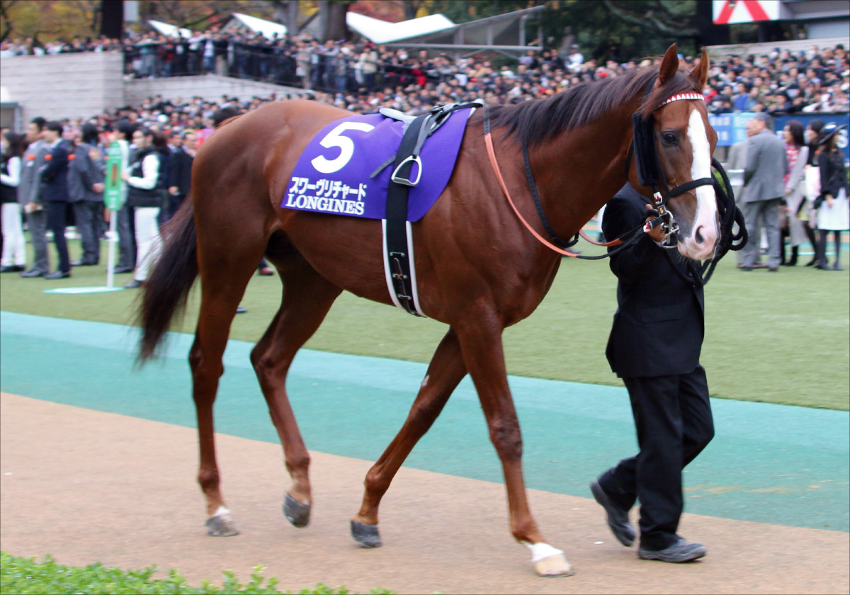 JRA皐月賞（G1）ダノンザキッドに残念なお知らせ……。「最優秀2歳牡馬」＆「セレクトセール1億円馬」2つの呪いで勝利は風前の灯火かの画像2