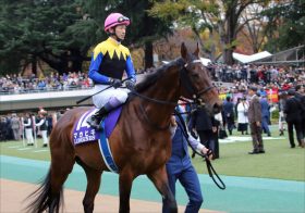 JRA何故「ディープインパクト記念」が先だったのか？ ナリタブライアン記念、シンボリルドルフ記念が生まれない理由