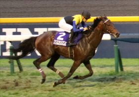 JRA友道康夫厩舎G1「多頭数出し」は11連敗中……大阪杯（G1）ワグネリアン＆マカヒキ出陣も、勝ったのは2年前