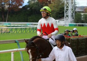 JRAセントライト記念（G2）2週連続「横典マジック」炸裂でミッキースワローに続けるか!? 後方ポツンから圧勝した素質馬が「異例」の出戻りで重賞挑戦