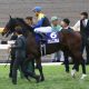 JRA天皇賞・春(G1)ユーキャンスマイルに「勝負気配」!? 東西有力馬の情報をお蔵出し!!