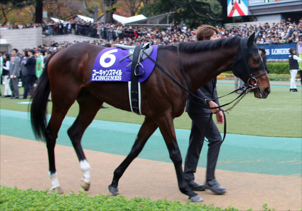 【阪神大賞典（G2）展望】「G1馬は1頭のみ」春の天皇賞に向け、絶対に負けられないキセキ! 宝塚記念以来となる川田と再コンビ結成の画像2