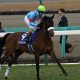 JRA「無観客」でサートゥルナーリア無双!? 金鯱賞(G2)へ「落ち着いて走ることができれば」最大のネック気性難に僥倖……